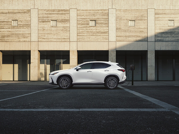 Voiture hybride Lexus NX blanc vue de coté