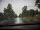 Vue à travers le pare-brise d'une voiture par temps de pluie, avec des gouttes d'eau sur la vitre et une route bordée d'arbres légèrement floue en arrière-plan